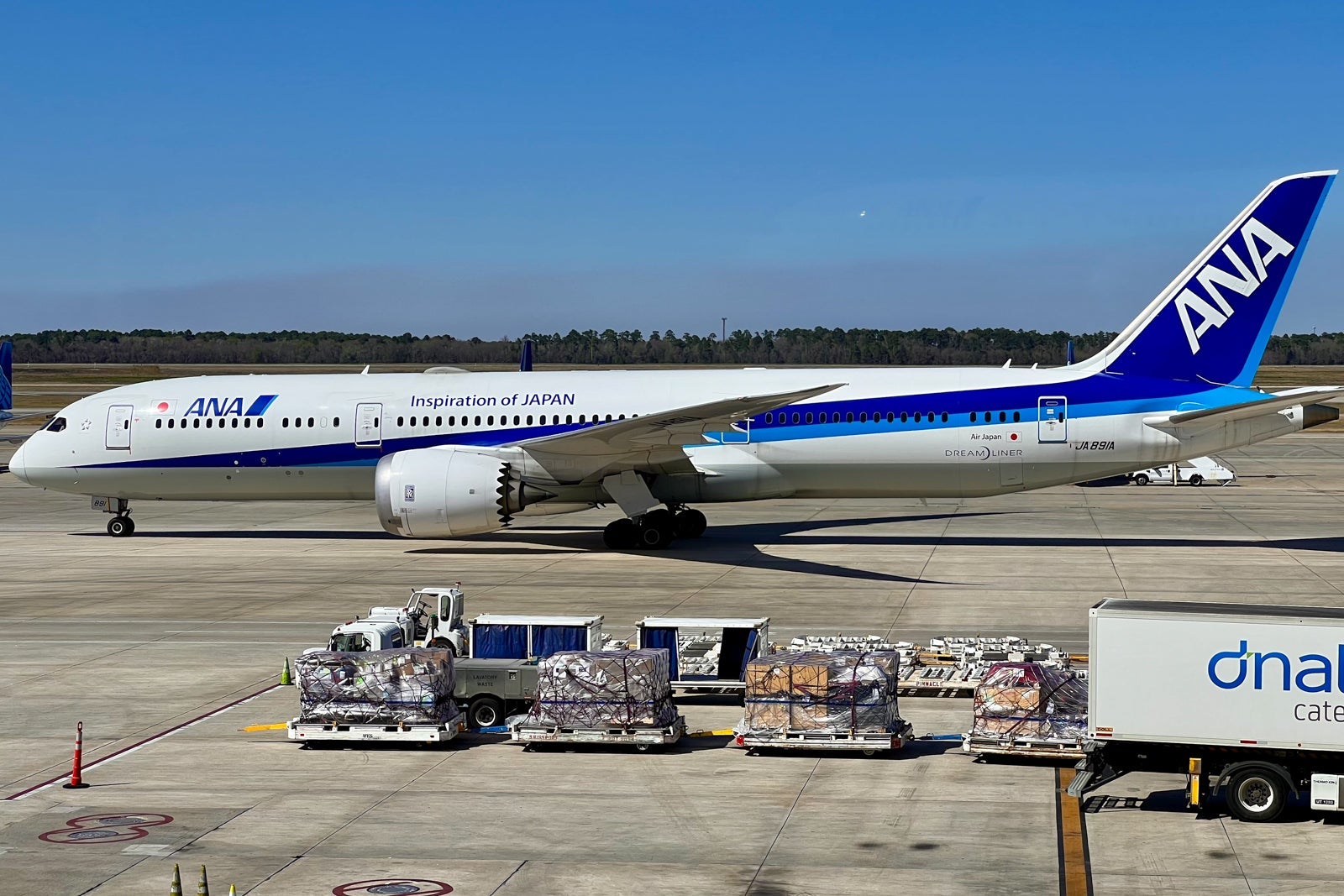 ANA Boeing 787-9 Dreamliner