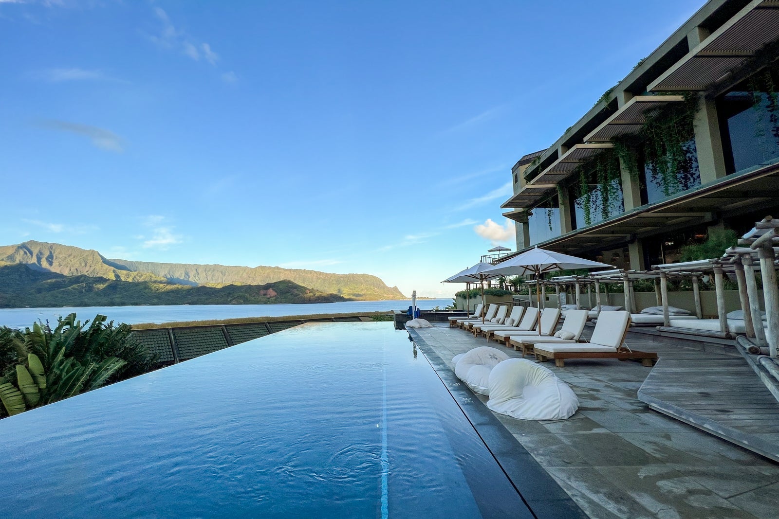 SUMMER HULL/THE POINTS GUY