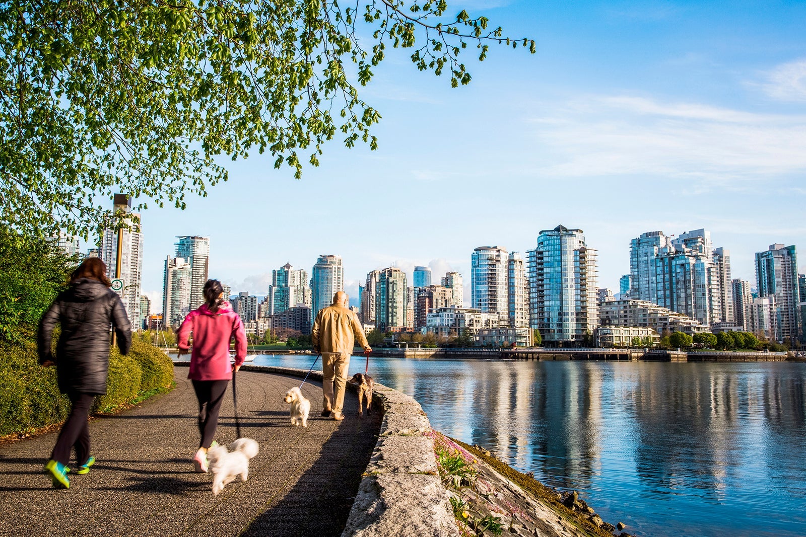 VANCOUVER, BRITISH COLUMBIA, CANADA. People walking dogs on a waterside trail with downtown skyline in the distance.